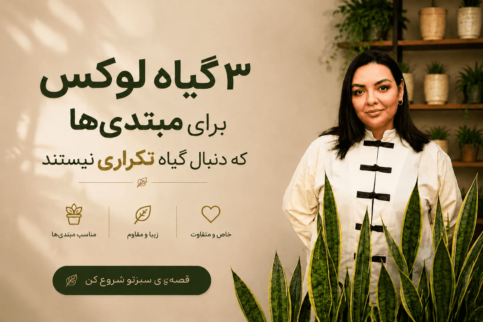 ۳ گیاه لوکس برای مبتدی‌ها