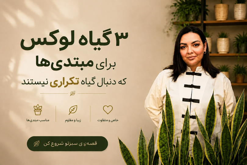 ۳ گیاه لوکس برای مبتدیها