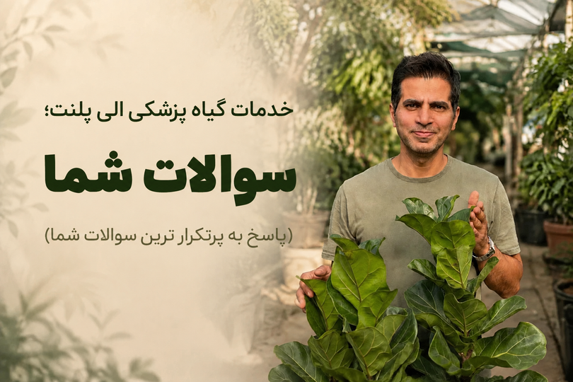 سوالات متداول خدمات گیاه پزشکی