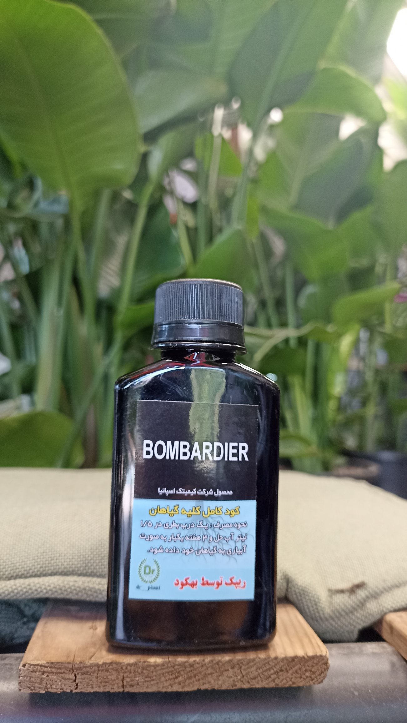 کود بمباردیه اصل مناسب نخل نیکولای برای تقویت رشد و افزایش قدرت گیاه