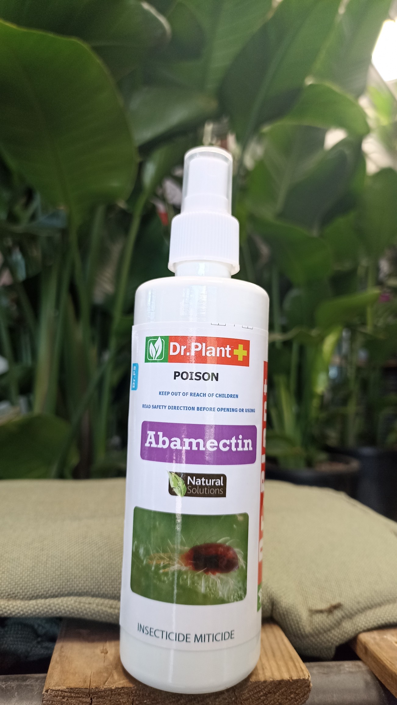 اسپری کنه‌کش آبامکتین مناسب نخل نیکولای برای پیشگیری از آفات و حفظ سلامت گیاه