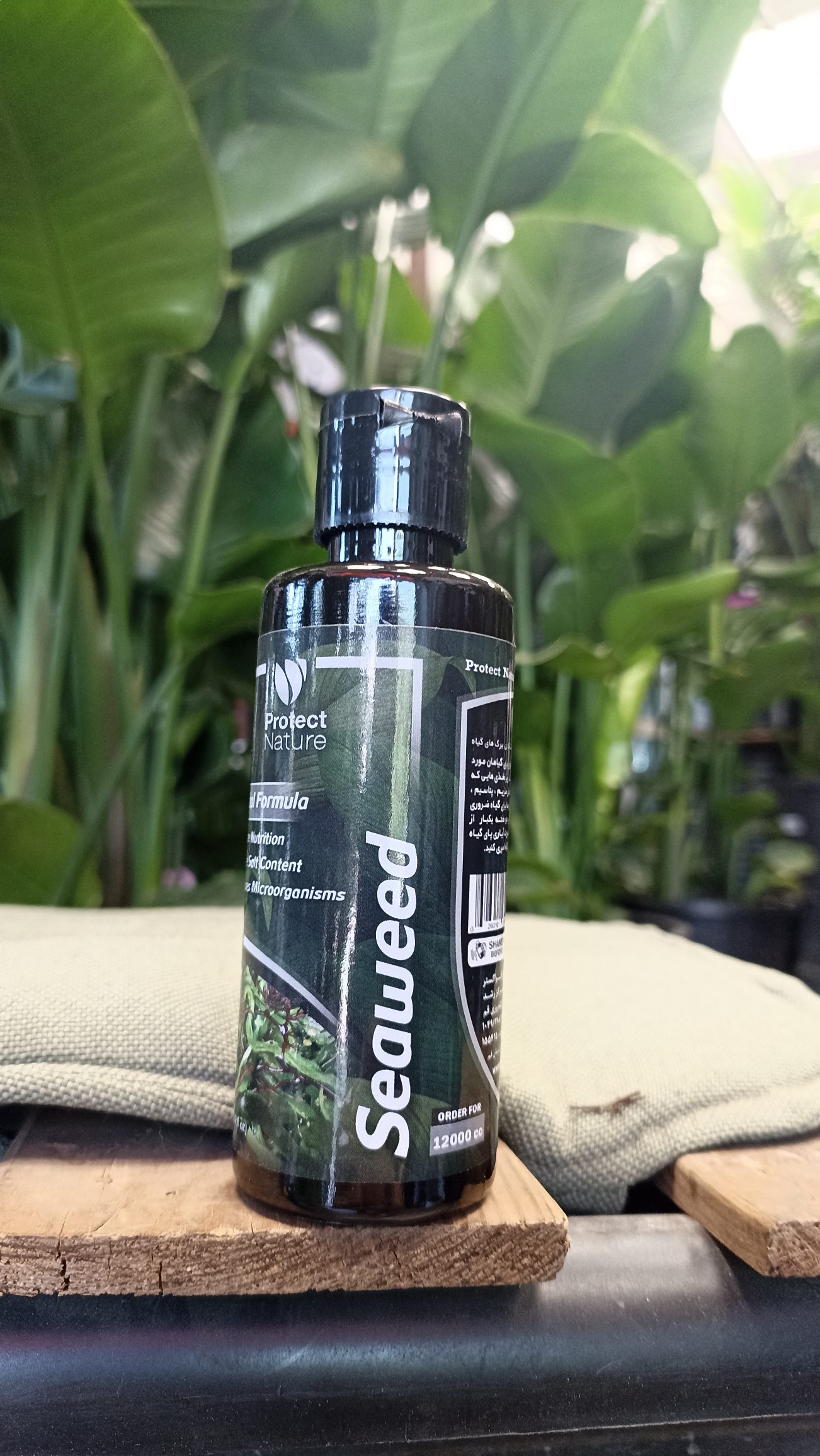 کود جلبک دریایی مخصوص نخل نیکولای برای شادابی، پهن شدن و سفت شدن برگ‌ها