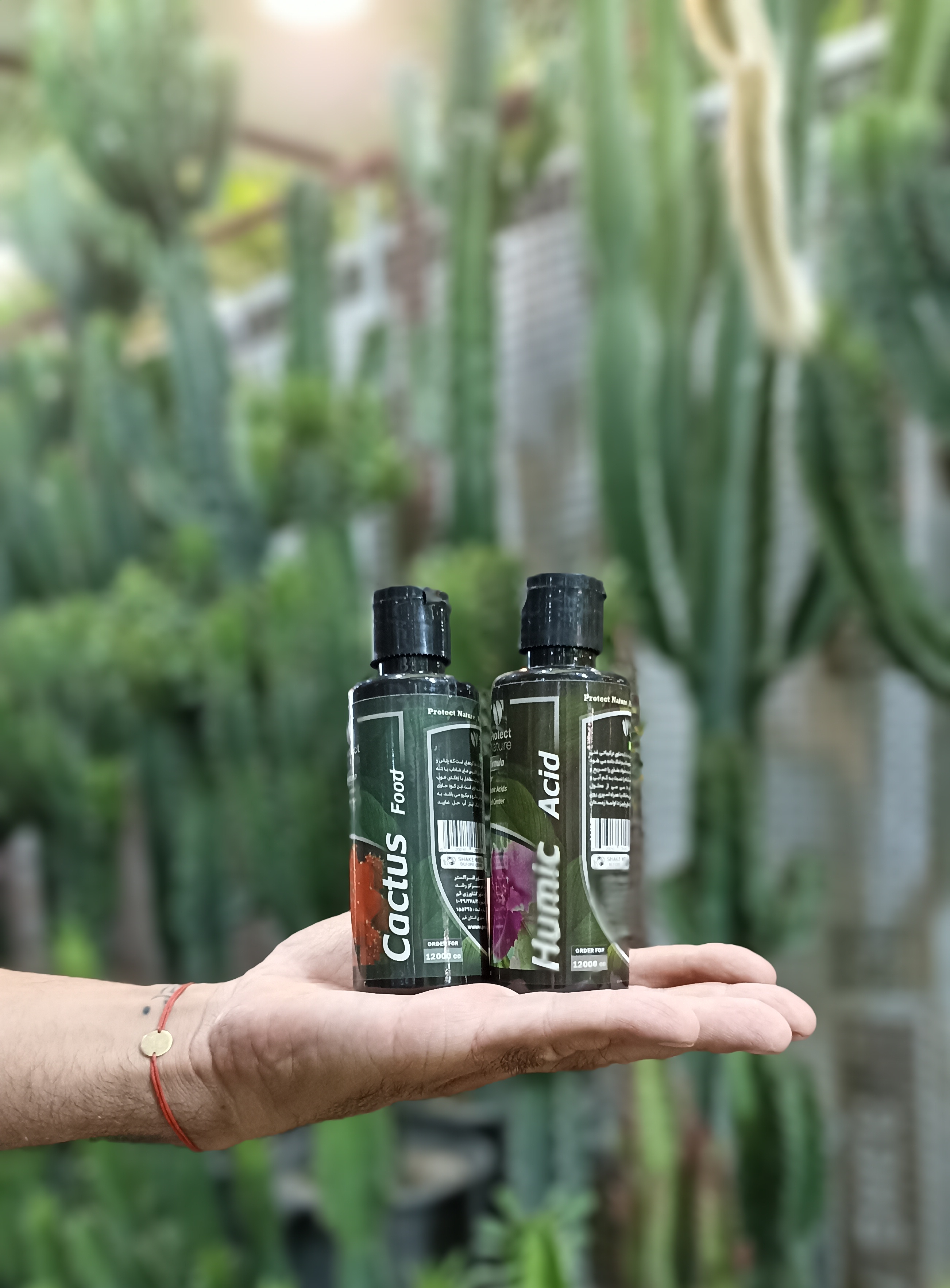 کود مخصوص رشد کاکتوس