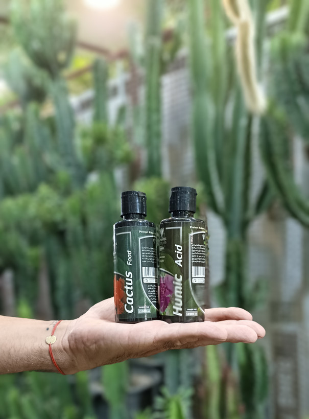 کود مخصوص رشد کاکتوس