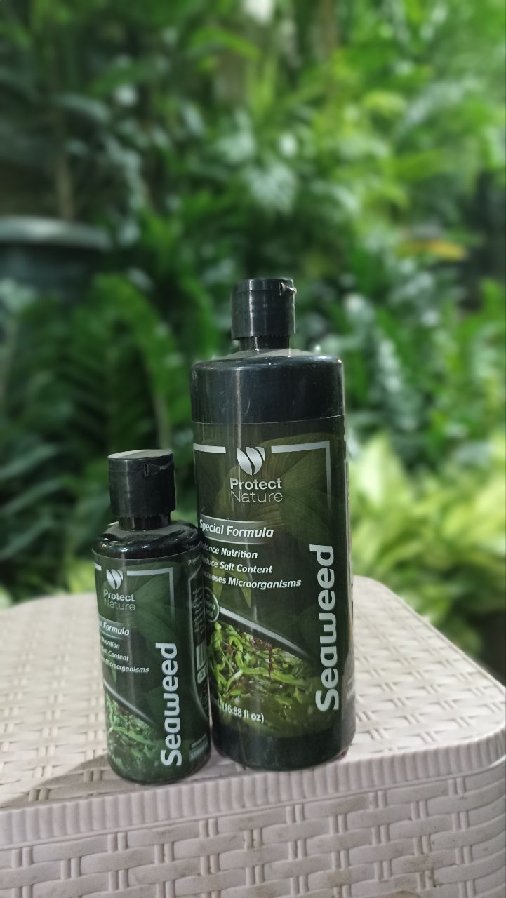 کود جلبک‌ دریایی مخصوص اسپری پاشی روی گیاهان سبزبرگ