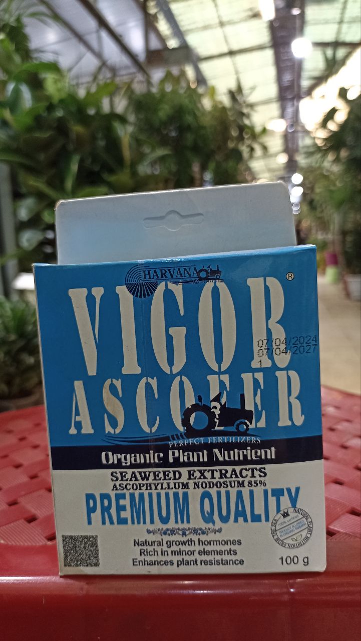 کود 100گرمی جلبک دریایی انگلیسی محرک رشد مخصوص غبارپاشی و آبیاری