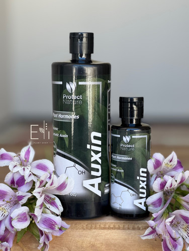هورمون رشد گیاه Auxin - Protect Nature