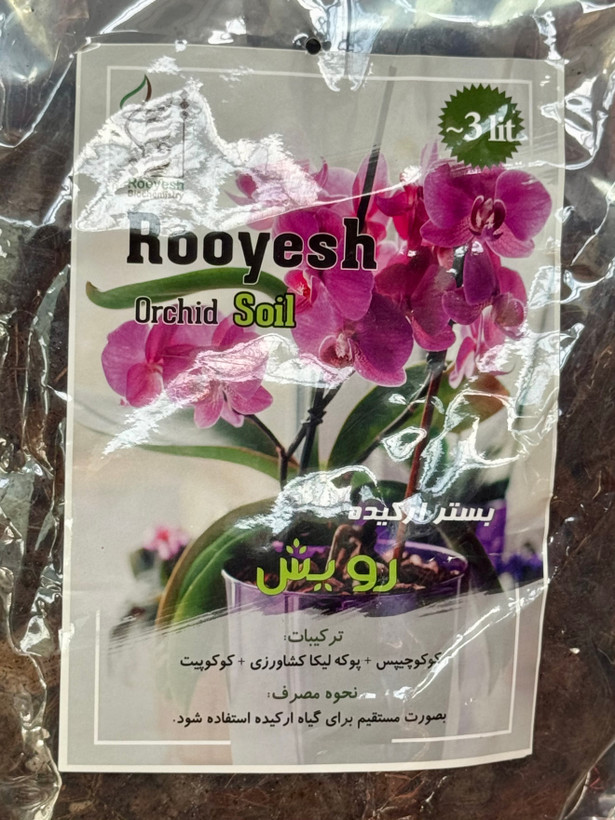بستر آماده ارکیده