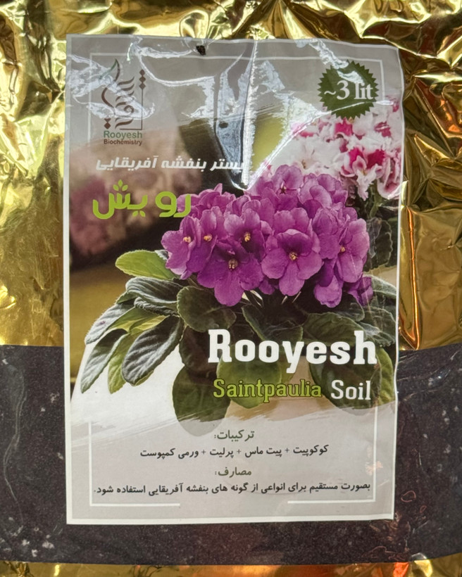 بستر بنفشه آفریقایی رویش ۳ لیتر