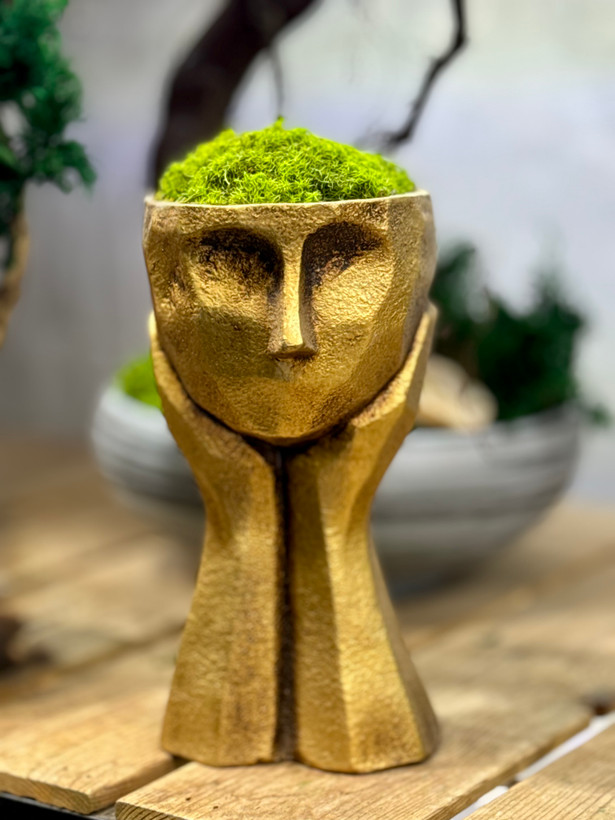 گیاه جاودان آدمک