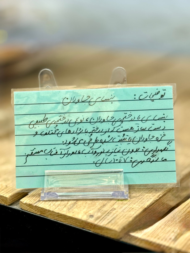 گیاه جاودان آدمک