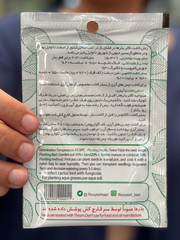 بذر پیازچه قرمز