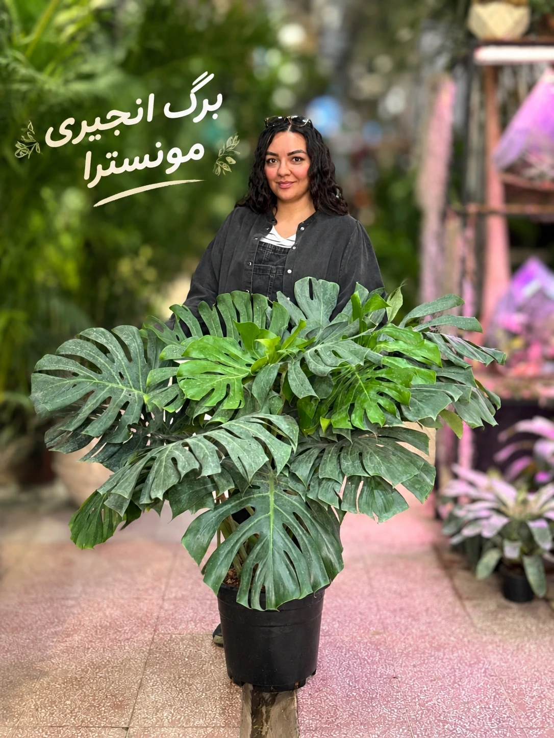 الی پلنت | ارسال فوری